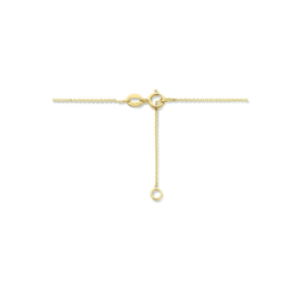 14 K Gouden Anker Collier Vaste Hanger - Sleuteltje 42 / 45 cm (verstelbaar)