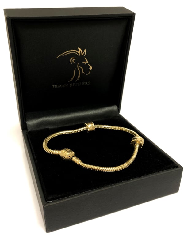 ruw Beknopt kalmeren PANDORA Gouden Moments Armband - 14 K Goud / 19 cm | Armbanden Verkocht |  TIEMAN JUWELIERS - Goud verkopen Enschede Almelo Hengelo Overijssel