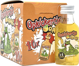 Opkickertje Orange partyshot 10 x 20ml