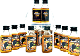 Oranje Prikkels  10-Pack emmertje 10 x 20ml