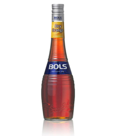 Bols Dry Orange 