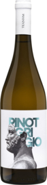 Teanum Pinot Grigio