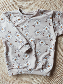 Sweater daisy flower