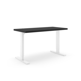 ICON HOME