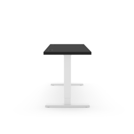 ICON HOME