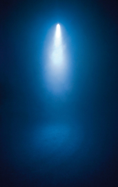 Showtec LED Stage Beam 50W