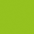 Showtec Handheld streamer Lichtgroen