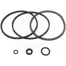 Delphi, CAV sealing rings kit