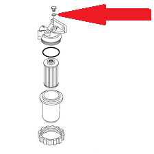 Gasket for fuel filter breather screw