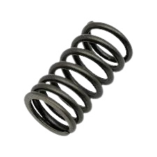 Bukh DV10 Bukh DV20 valve spring 000E6054