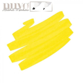 Nuvo single - Bright Sunflower