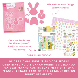 CREA CHALLENGE #7