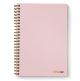 Ballerina Pink B5 Hardcover Notebook