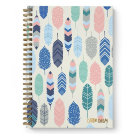 Feathers B5 Hardcover Notebook