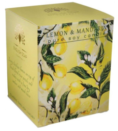 Lemon & mandarin geurkaars 170 gr