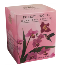 Forest Orchid geurkaars 170 gr