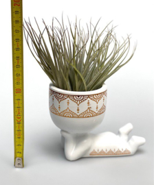 Lazy Airplant man (wit) | Airplantshop