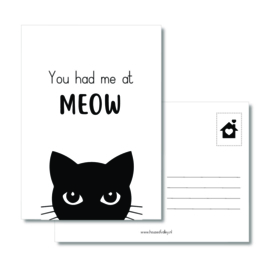 You had me at MEOW