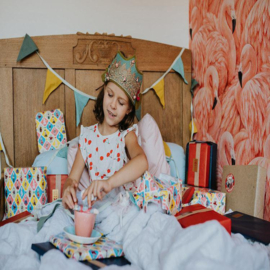 Kinderboek - Verjaardag & Een drieling - Het Muizenhuis