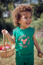 T-shirt | Mouse in the house | Groen | Pexi Lexi