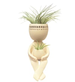Swinging Airplant man | Airplant in pot | MissDraad