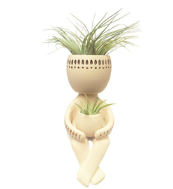 Swinging Airplant man | Airplant in pot | MissDraad