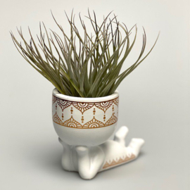 Lazy Airplant man (wit) | Airplantshop