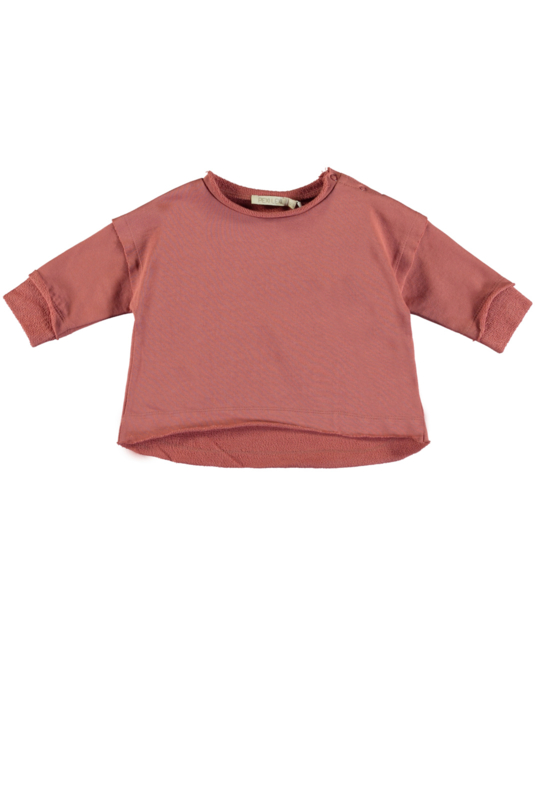 Sweater | Cayon Rose | Pexi Lexi