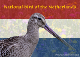 Nationale vogel van Nederland