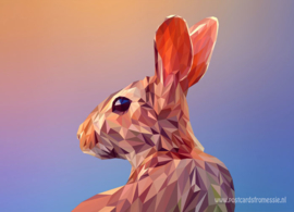 Polygon Rabbit