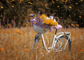 Autumn bicycle