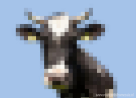 Pixel art - Cow