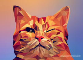 Polygon Cat