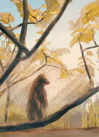 Bear in the forest