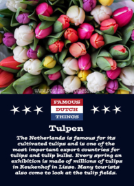 Famous Dutch Things - Tulpen