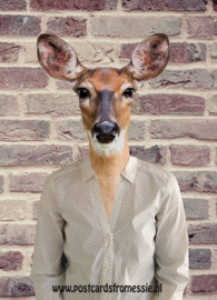 Deer with blouse