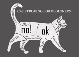Cat stroking for beginners