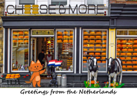 Greetings from the Netherlands - Cheese Shop