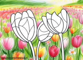 Postcard for coloring - Tulips