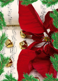 Poinsettia