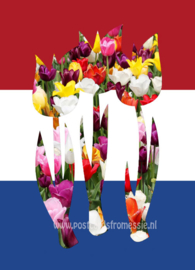 The Netherlands - country of tulips
