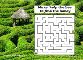 Maze 1