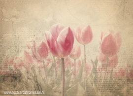 Sepia postcard - Tulips