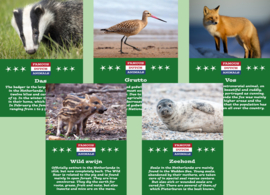 Postcard set Famous Dutch Animals