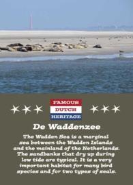 Famous Dutch Heritage - Waddenzee