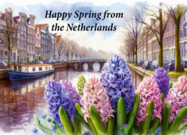 Happy Spring from the Netherlands - Hyacinths