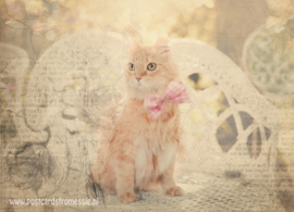 Sepia postcard - Cat