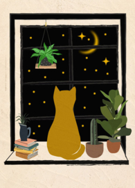 Kat kijkt naar de sterren