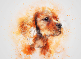 Aquarel ansichtkaart - Hond