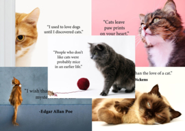 Kaartenset Katten quotes